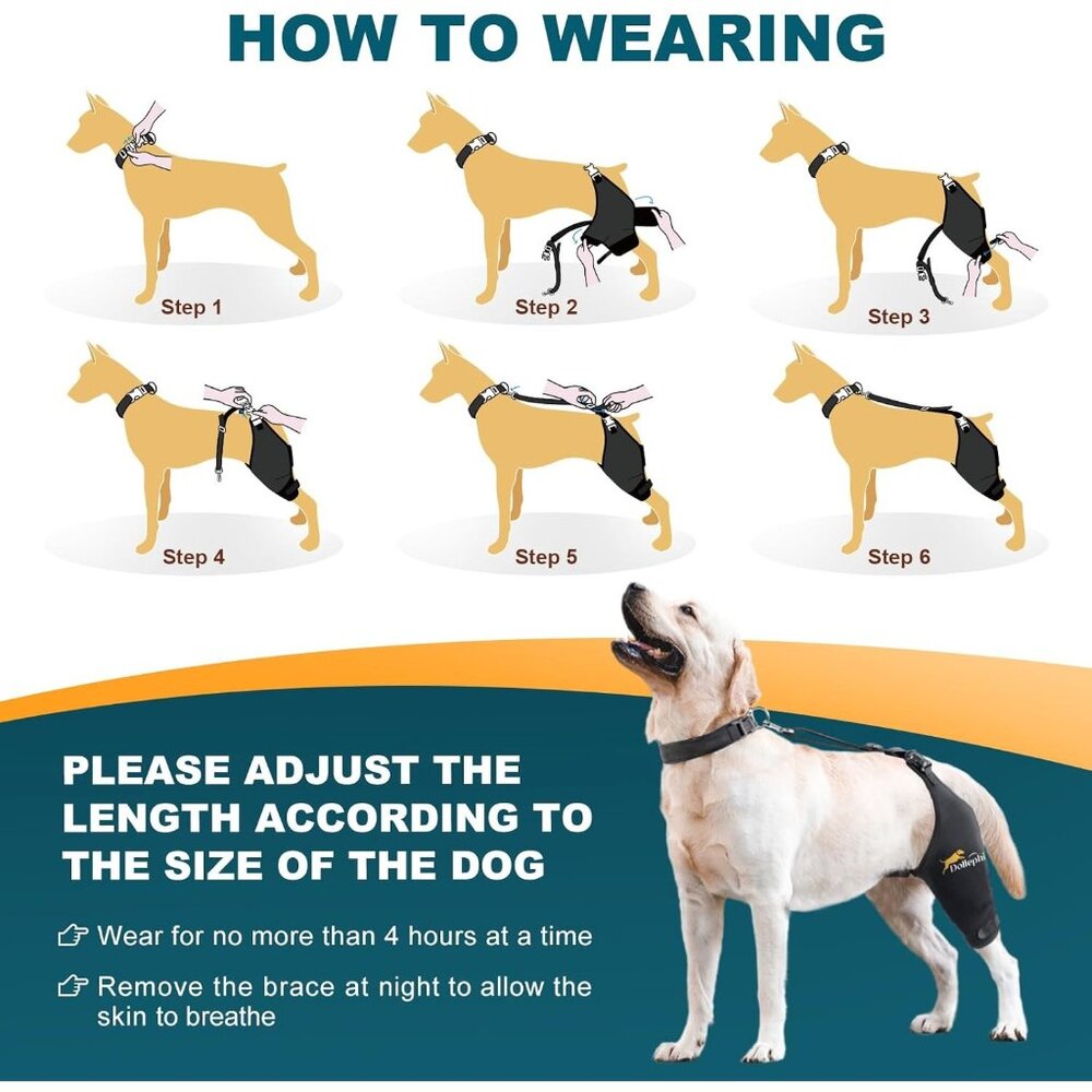 Dog Knee Brace for Torn ACL Hind Leg, Hot/Cold Compress for Patella Dislocation - Picture 6 of 6